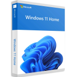 Windows 10 Home OEM